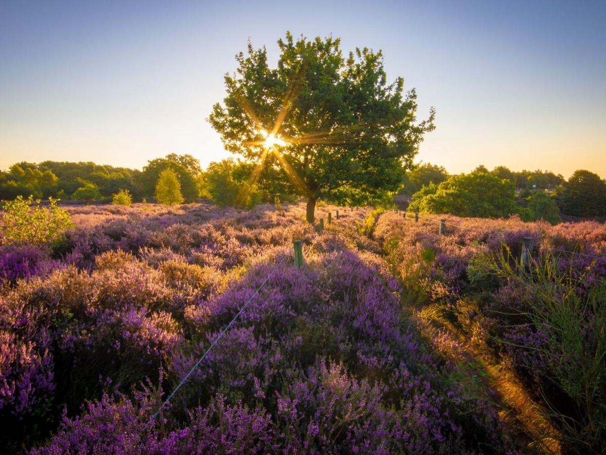 Landal Gooise Heide Hotell Huizen Eksteriør bilde
